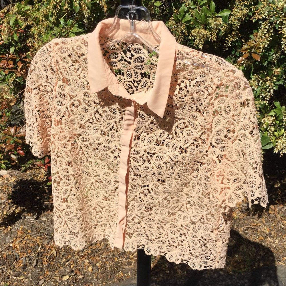 Fabulous Lace Peach Knit Top